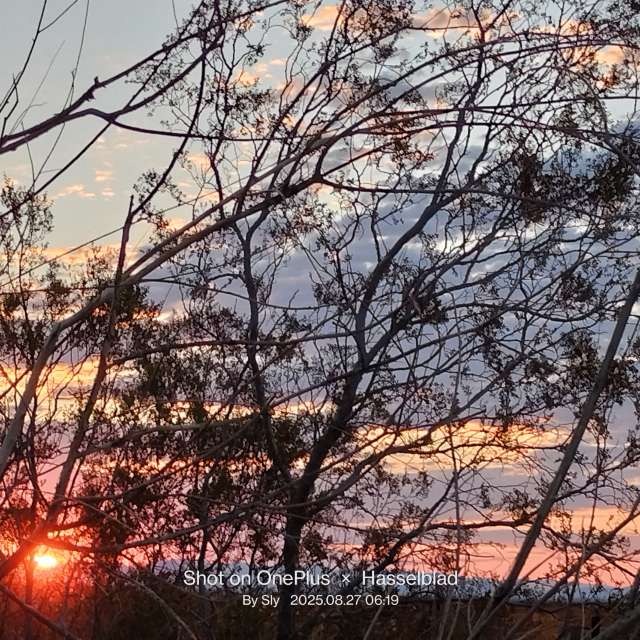 MsSlyの美しい写真による天気予報