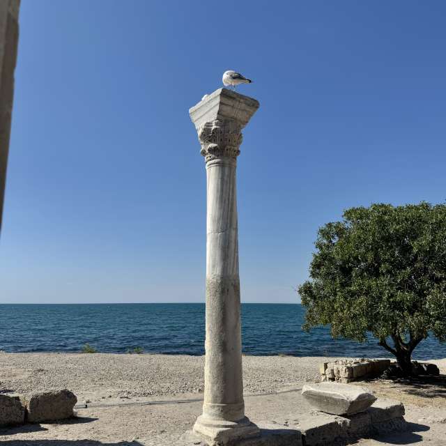 Fotos sobre el clima en Mercado. Pronósticos del tiempo con hermosas fotos de Tetolive