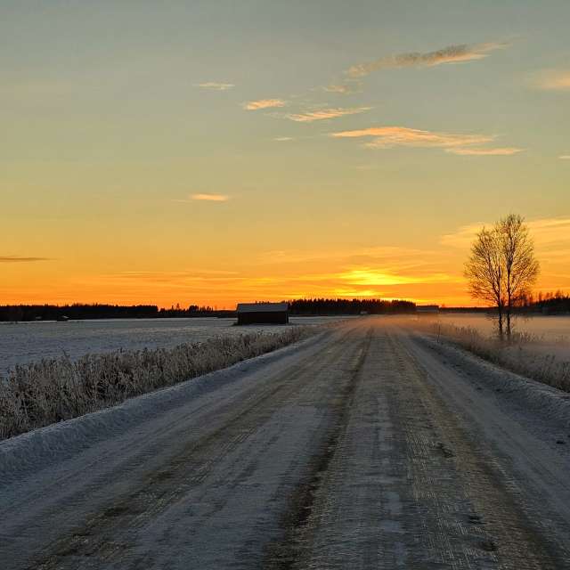 Previsões do tempo com lindas fotos de Piia