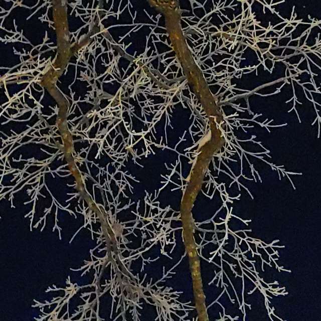 Jazzinevirgaの美しい写真による天気予報