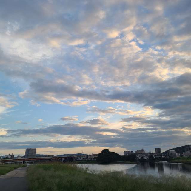 Grassy. Weather forecasts with beautiful photos by あさのジジ Photos in Okayama