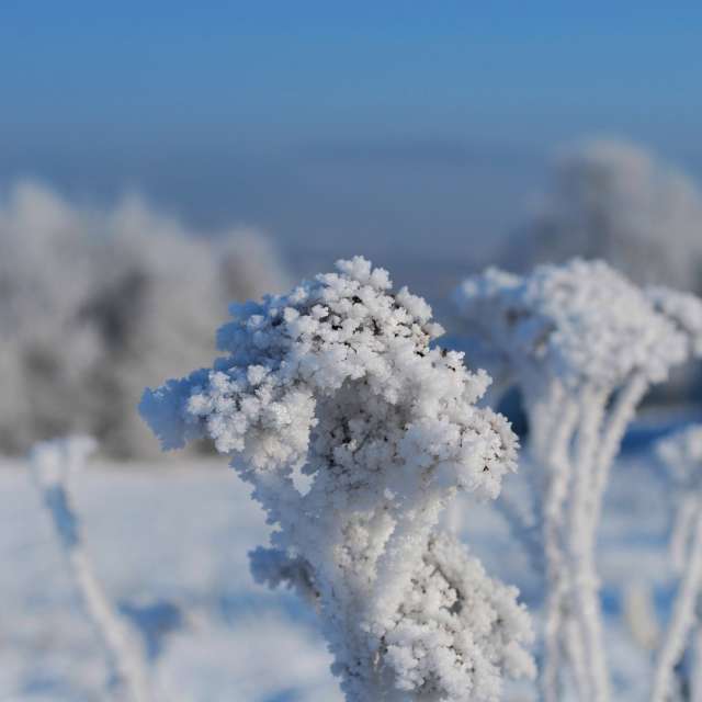Weather forecasts with beautiful photos by Marcela Cervenakova