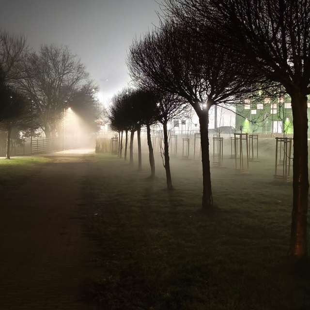 duck102の美しい写真による天気予報