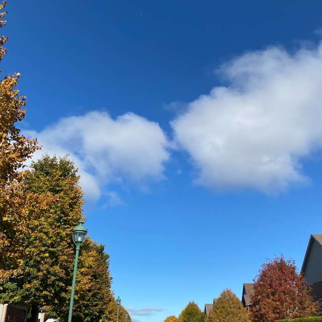 Country. Weather forecasts with beautiful photos by Lulu5523 Photos in le Plateau