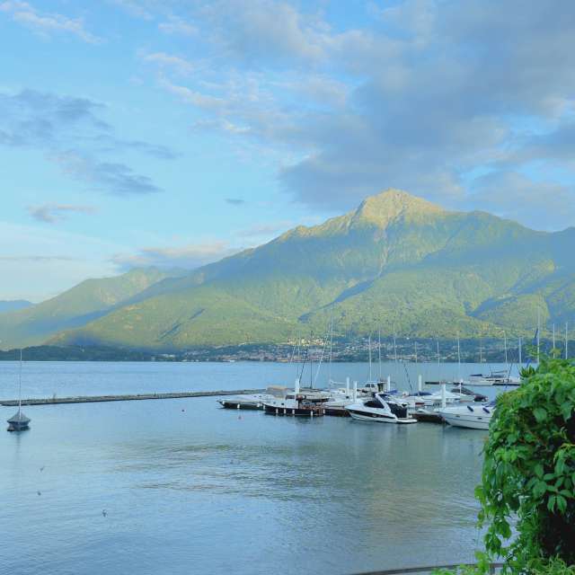 天气预报，带loris-b精美的照片