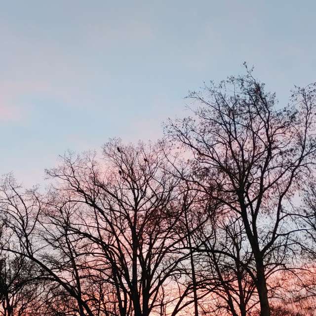 Jazzinevirgaの美しい写真による天気予報