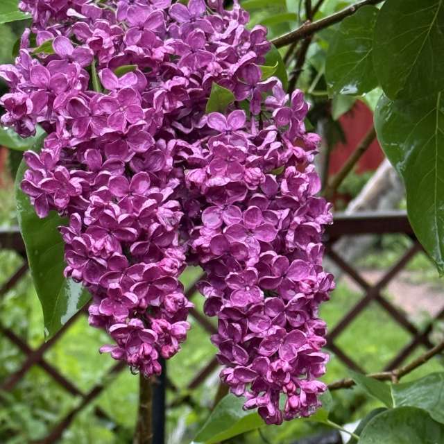 Dự báo thời tiết với những bức ảnh đẹp của mas777777