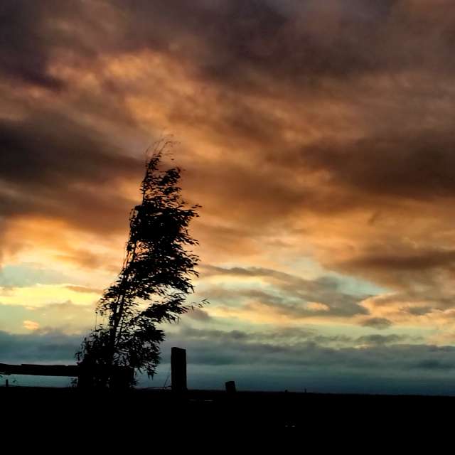 世界的天气照片. 天气预报，带Ghostroku精美的照片