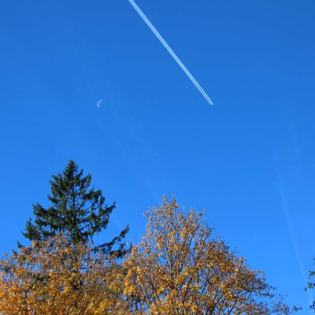 天气预报，带Sviatoslav精美的照片