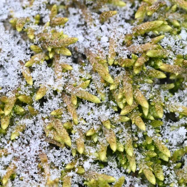 Прогнозы погоды с чудесными фотографиями, сделанными krantzjh