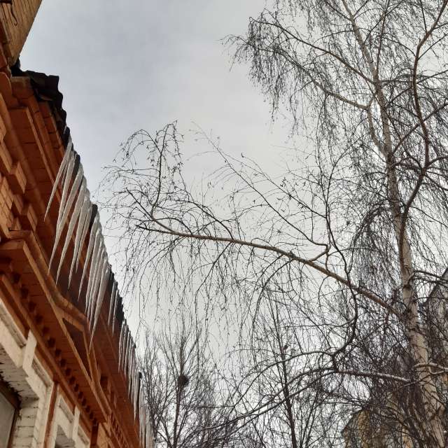 Open air. Weather forecasts with beautiful photos by Iryna Photos in Kharkiv