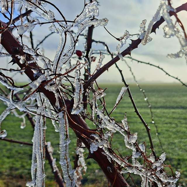 Weather forecasts with beautiful photos by steve2025s