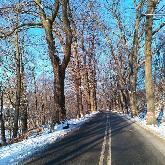 Park. Wettervorhersagen mit schönen Fotos von Kripo Fotos Ladek Zdroj
