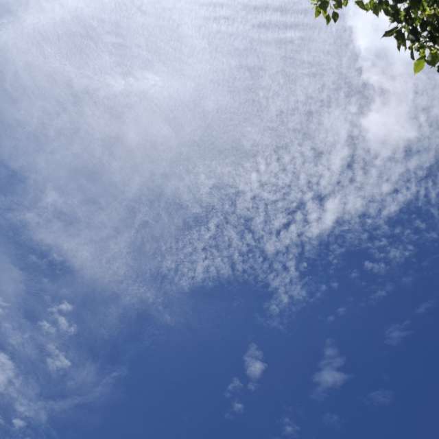 Fotos Montanha. Previsões do tempo com lindas fotos de Wen-ya Huang em Kaohsiung City