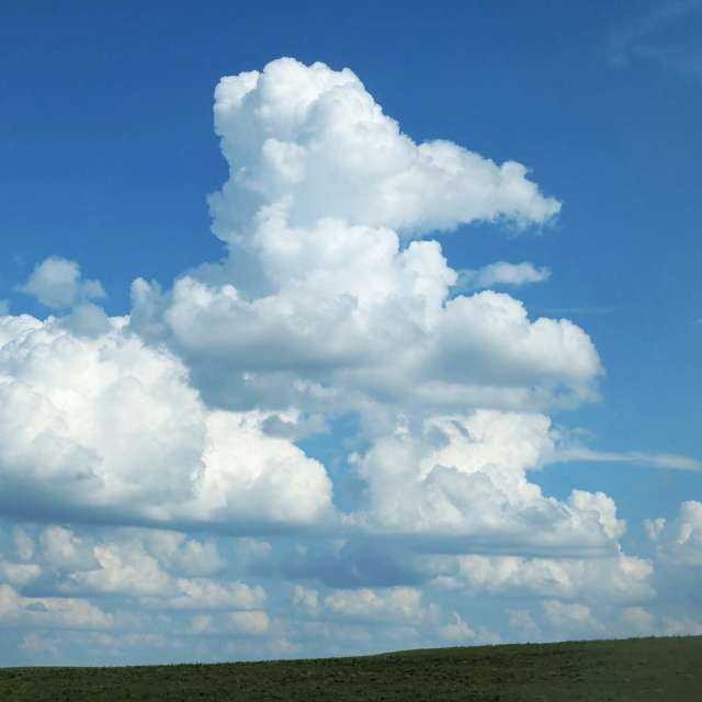 天气预报，带AgentTomcat精美的照片