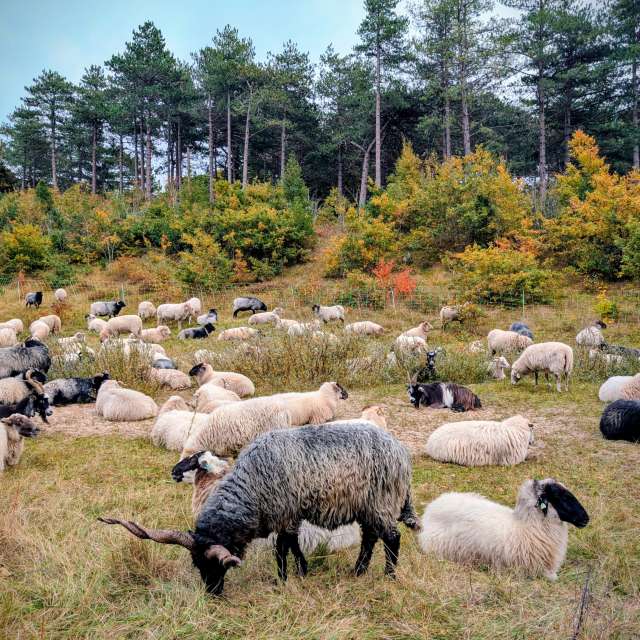 Pronósticos del tiempo con hermosas fotos de soykika