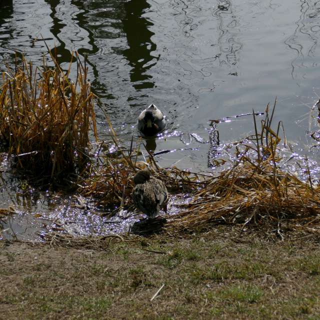 Fotos Luz. Previsões do tempo com lindas fotos de Vasek325 em Praha 12