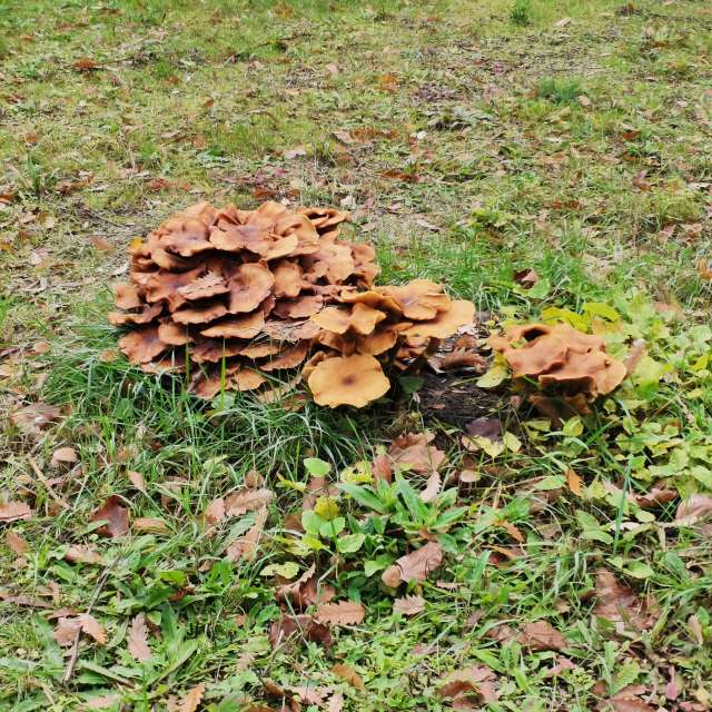 13 Boulevard de l'Hôpital的Weather. 天气预报，带NikolayPaunchev精美的照片照片