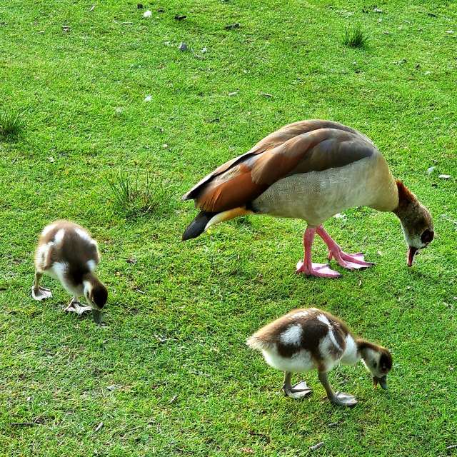 Prévisions météo avec de superbes photos de FraLampedusa