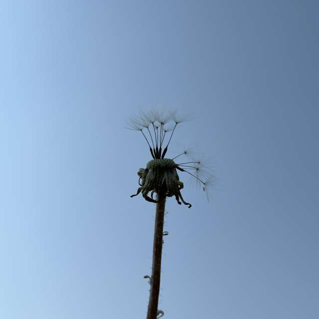 Previsões do tempo com lindas fotos de kriotis