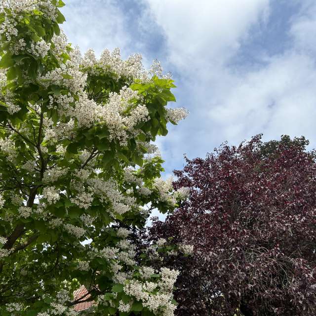 Weather forecasts with beautiful photos by grasielacf