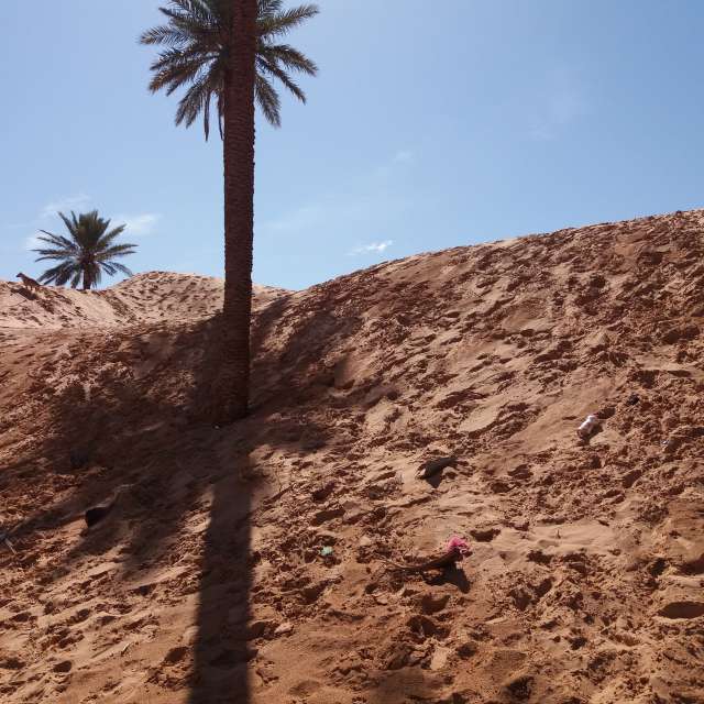 Béchar ലെ The sand. BELGHOUL-KADDA ന്റെ മനോഹരമായ ഫോട്ടോകളുള്ള കാലാവസ്ഥാ പ്രവചനം ഫോട്ടോകൾ