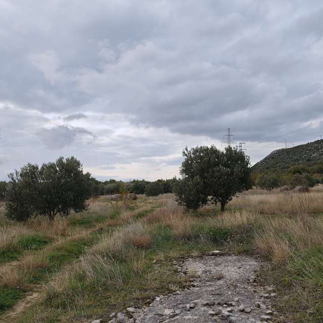 RoncevicRの美しい写真による天気予報