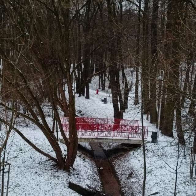 Previsões do tempo com lindas fotos de Madlen