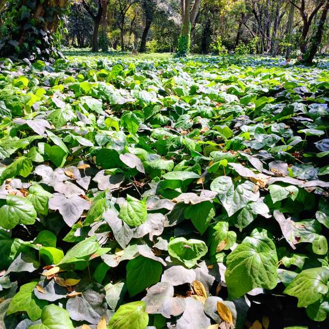 Weather forecasts with beautiful photos by SEBASTIAN14