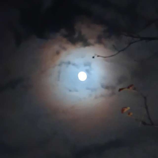 Fotos del Cielo. Pronósticos del tiempo con hermosas fotos de YanBog en București