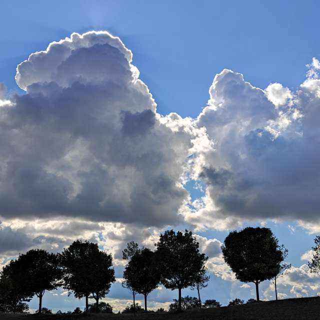 Rauch. Wettervorhersagen mit schönen Fotos von Kripo Fotos Niederösterreich