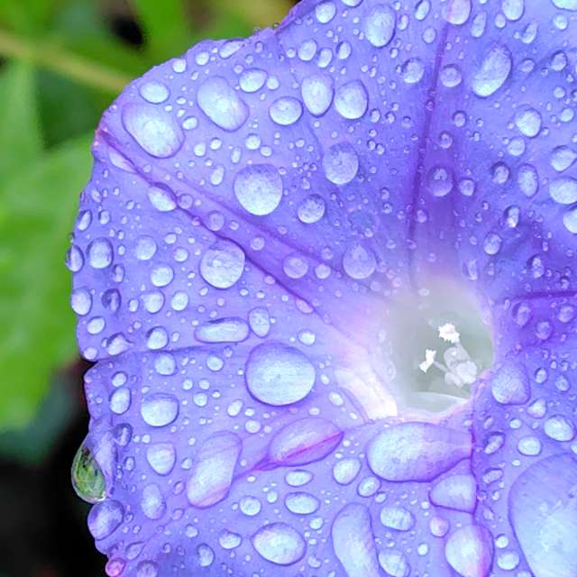 Weather Photos in World. Weather forecasts with beautiful photos by umemui