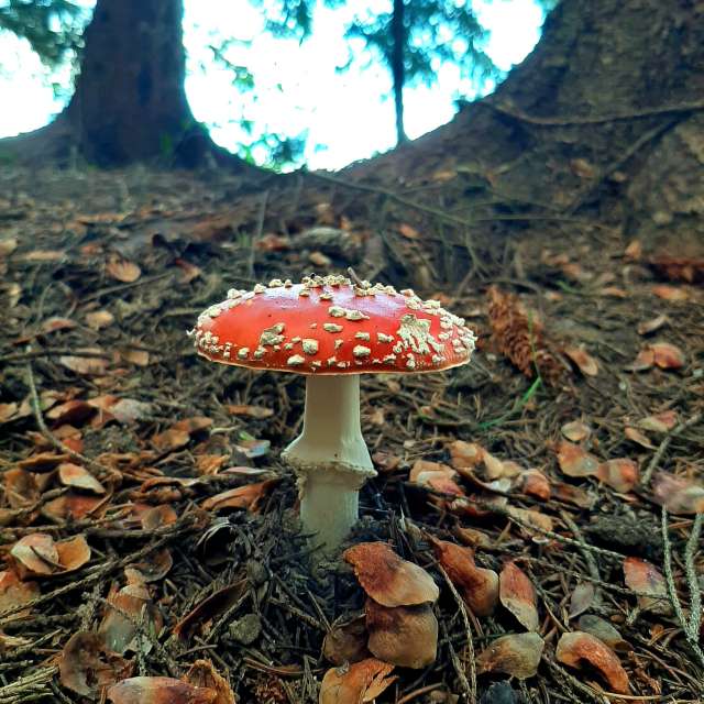 Pronósticos del tiempo con hermosas fotos de jmayr