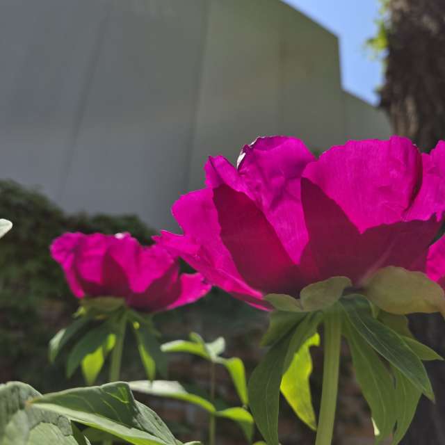 Prévisions météo avec de superbes photos de Jessica_A