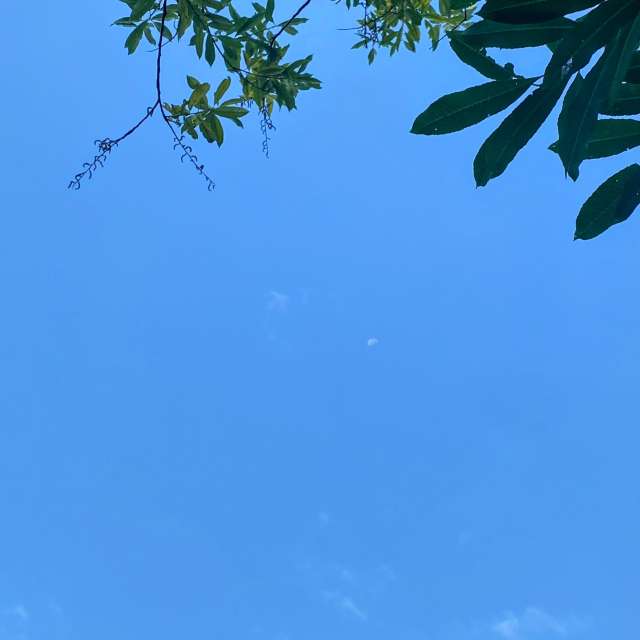 Uhr. Wettervorhersagen mit schönen Fotos von Lulu5523 Fotos le Plateau