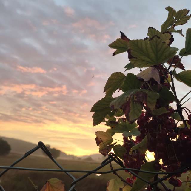 Allersberg的Weather. 天气预报，带Brtd精美的照片照片