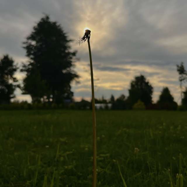 Photos Champ. Prévisions météo avec de superbes photos de Stassy de Teshkovo