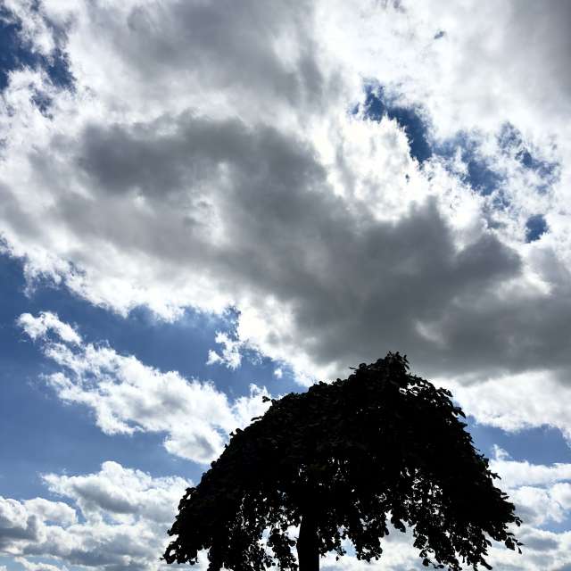 Prévisions météo avec de superbes photos de Riverbird