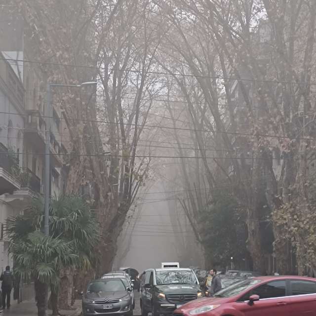 Weather forecasts with beautiful photos by Paponenino