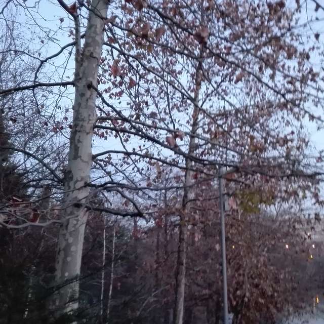 Fotos del Parque. Pronósticos del tiempo con hermosas fotos de anca7687 en Bucharest