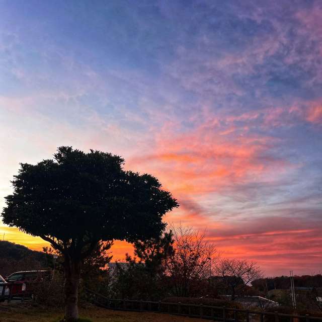 Прогнозы погоды с чудесными фотографиями, сделанными Kasumisou