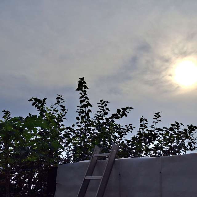 Fotos Jovem. Previsões do tempo com lindas fotos de Wen-ya Huang em Kaohsiung City