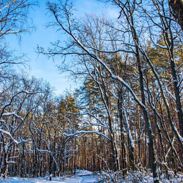 Weather forecasts with beautiful photos by GrgaP