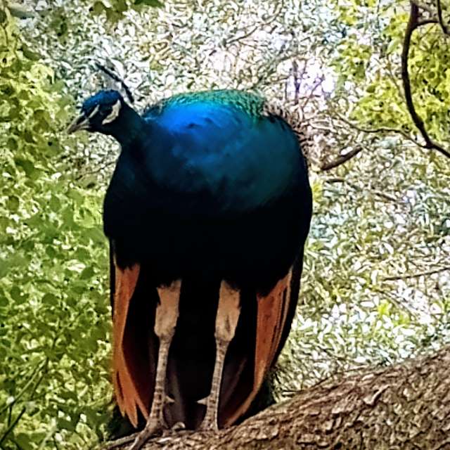 Weather forecasts with beautiful photos by Christinam01