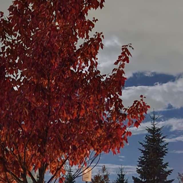 天气预报，带Rukh-08-08精美的照片