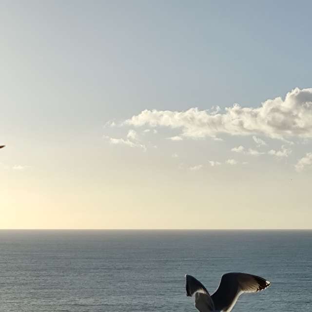 Прогнозы погоды с чудесными фотографиями, сделанными Brtd