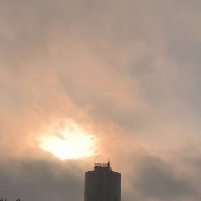 Fotos del Bosque. Pronósticos del tiempo con hermosas fotos de YanBog en Bucharest