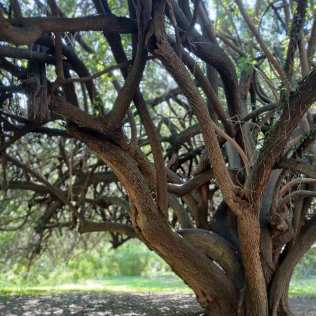 Weather forecasts with beautiful photos by SEBASTIAN14