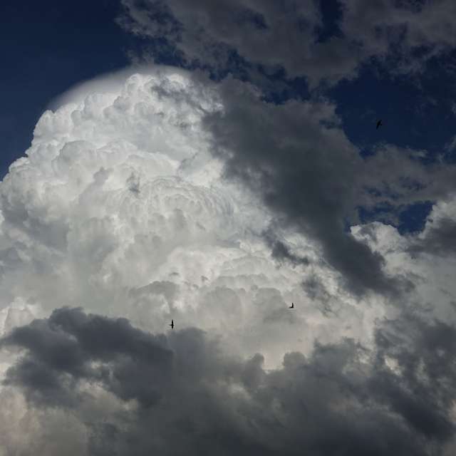 Fotos Grande. Previsões do tempo com lindas fotos de Vasek325 em Praha 4