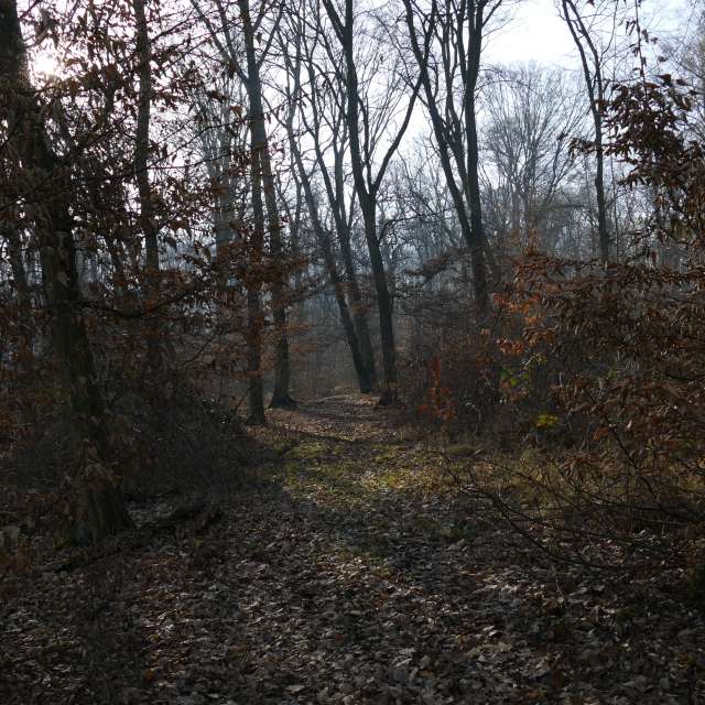 Fotos Abordado. Previsões do tempo com lindas fotos de Vasek325 em Praha 4